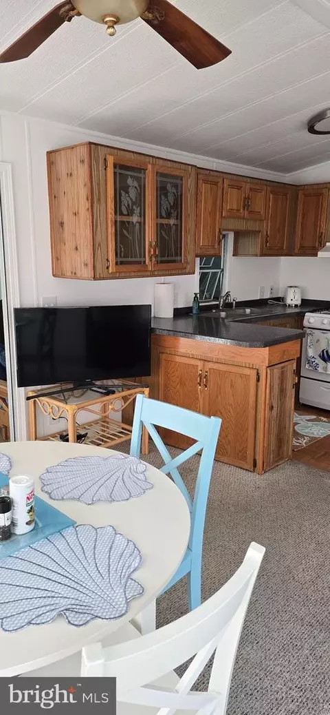 319 Dolphin Dr, Berlin, MD 21811 photo 19