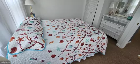 319 Dolphin Dr, Berlin, MD 21811 photo 41