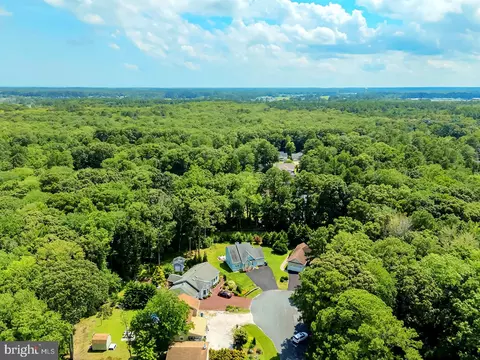 View/Area - 9 Holly Ct, Berlin, MD 21811 photo 2 of 12