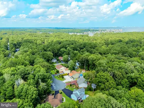 View/Area - 9 Holly Ct, Berlin, MD 21811 photo 5 of 12