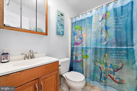 Bath - 79 Seafarer Ln, Berlin, MD 21811 photo 2 of 2