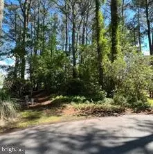 11043 Piney Island Dr, Bishopville, MD 21813
