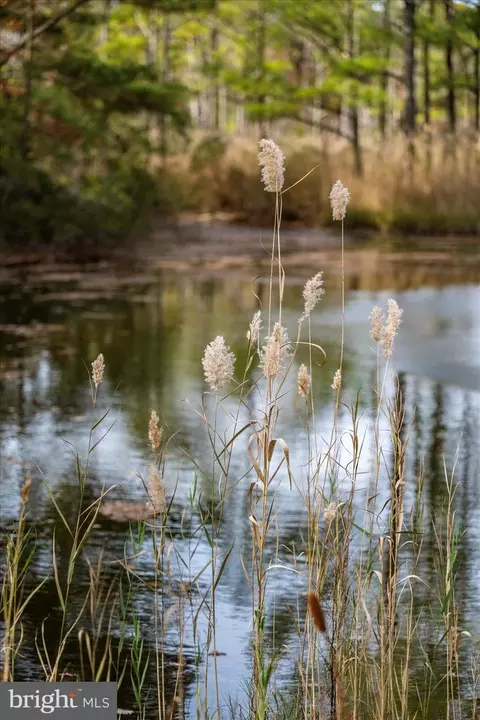 View/Area - 101 Mumfords Landing Rd, Ocean Pines, MD 21811 photo 6 of 30