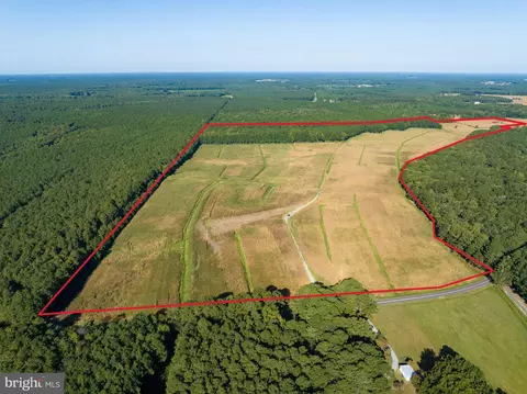 0 Greenbriar Swamp Rd, Salisbury, MD 21804