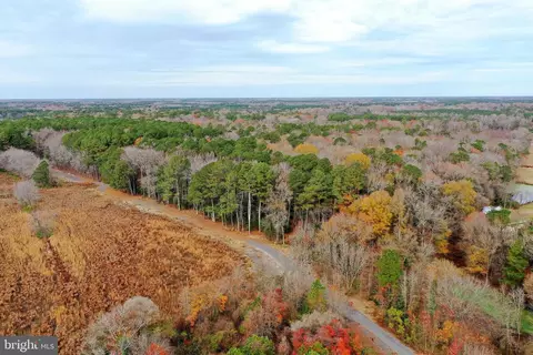 Parcel #169 Georgetown Road, Berlin, MD 21811