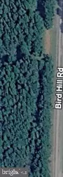 0 Bird Hill Rd, Stockton, MD 21864