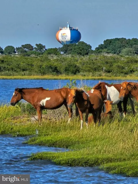 lot3 Stephen Decatur, Ocean City, MD 21842