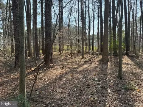 0 Henry Rd, Berlin, MD 21811 photo 5