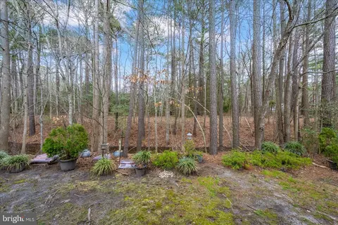 Exterior - 5 Chatham Ct, Ocean Pines, MD 21811 photo 5 of 7