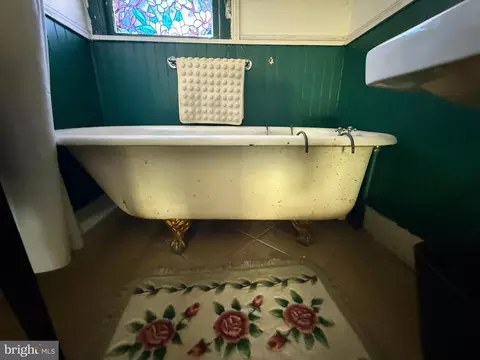 Bath - 207 S Washington St, Snow Hill, MD 21863 photo 9 of 14