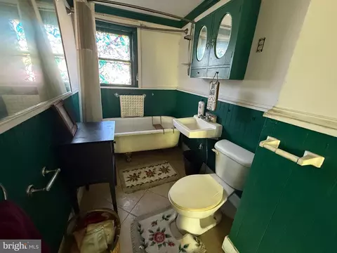 Bath - 207 S Washington St, Snow Hill, MD 21863 photo 8 of 14