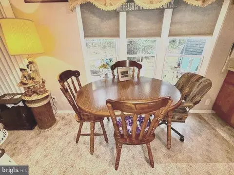 216 Timberline Cir, Berlin, MD 21811 photo 14