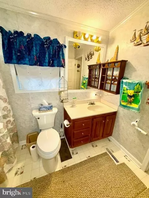 216 Timberline Cir, Berlin, MD 21811 photo 21