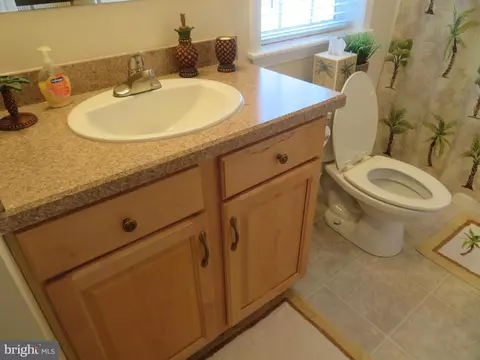 Other - 219 Timberline Cir, Berlin, MD 21811 photo 22 of 57