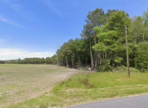 0 Mt Olive Church Rd, Snow Hill, MD 21863