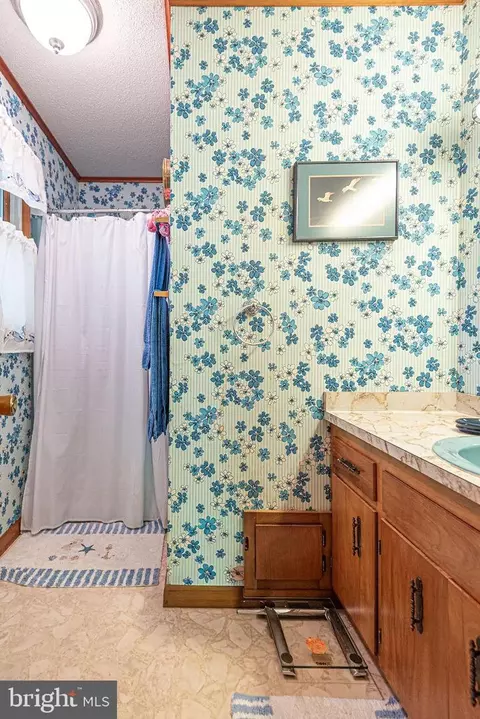 Bath - 32 Whaler Ln, Ocean Pines, MD 21811 photo 7 of 7