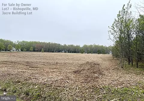10164 Rabbit Ridge Rd, Bishopville, MD 21813 photo 7