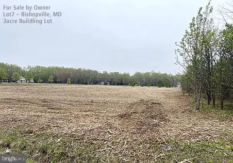 10164 Rabbit Ridge Rd, Bishopville, MD 21813 photo 6