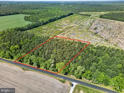 0 Downs, Newark, MD 21841