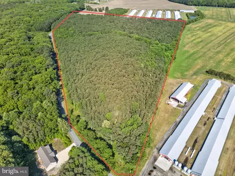 Johnson Neck Road, Pocomoke City, MD 21851