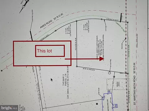 177 Parcel- Saint Martins Neck Rd, Bishopville, MD 21813