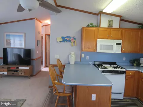 125 Skipjack Cir, Berlin, MD 21811 photo 32