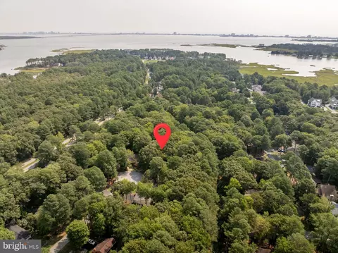 24 Sassafras Ln, Ocean Pines, MD 21811 photo 11