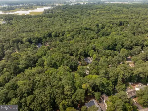 24 Sassafras Ln, Ocean Pines, MD 21811 photo 19