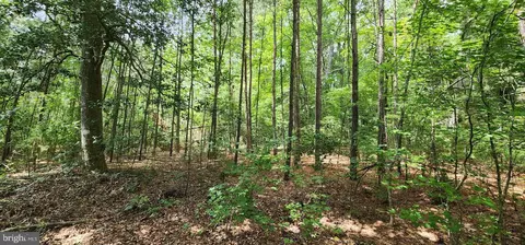 9 Cherrix Rd, Girdletree, MD 21829 photo 7