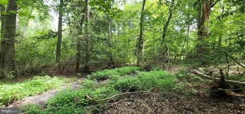 9 Cherrix Rd, Girdletree, MD 21829 photo 3