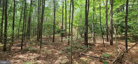 9 Cherrix Rd, Girdletree, MD 21829 photo 6