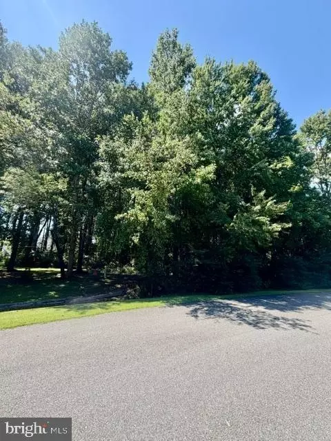 lot S Apt 119 S Dolly Cir, Berlin, MD 21811 photo 2