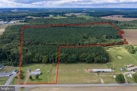 12201 Blueberry Rd, Whaleyville, MD 21872