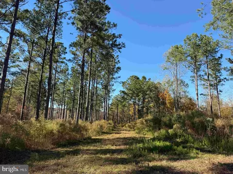 Grey Farm Road-jamesville, Beaufort, NC 28516