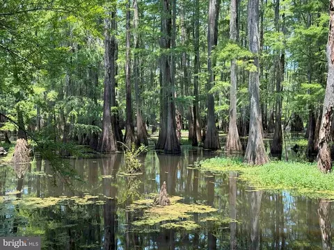 Tick Bite Road & Saw Mill Road, Other, NC 99999