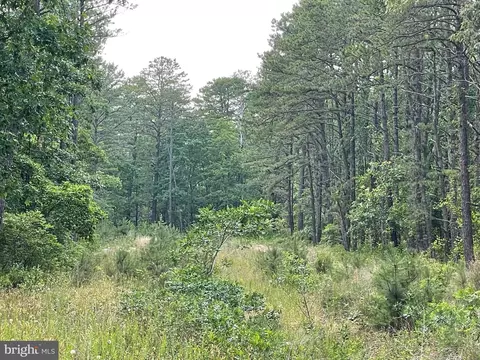 0 Buttonwood Rd, Egg Harbor Township, NJ 08234