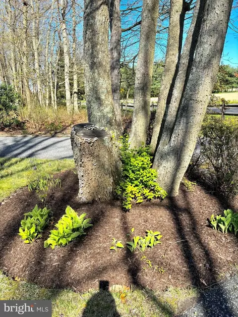 Exterior - 145 E Weymouth Rd, Buena, NJ 08310 photo 3 of 36