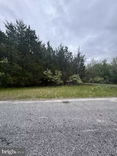 0 Shaffer Ave, Egg Harbor City, NJ 08215