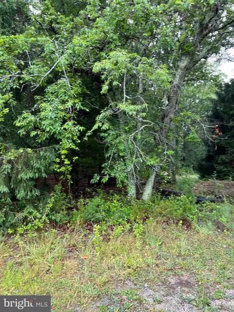 246 Crestview, Galloway, NJ 08205 photo 3