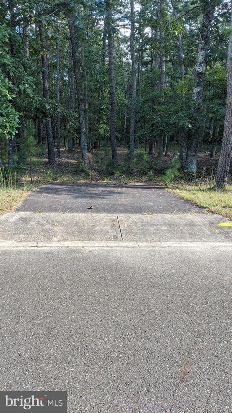11 Red Onion Rd, Vincentown, NJ 08088 photo 2