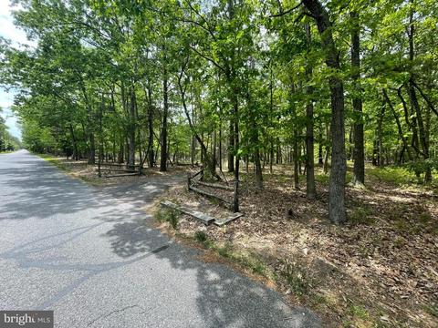 409 Pricketts Mill Rd, Tabernacle, NJ 08088 photo 3