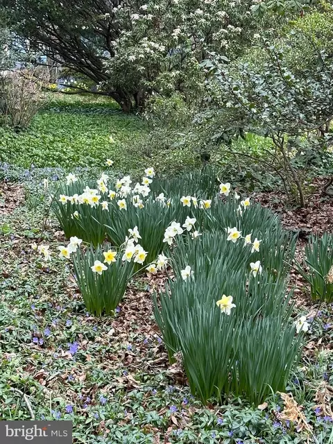 416 W 3rd St, Moorestown, NJ 08057