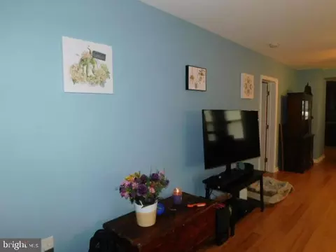 207 S Pine Ave, Maple Shade, NJ 08052 photo 12