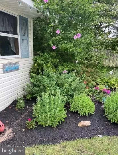 324 Juniata Ave, Delran, NJ 08075 photo 41