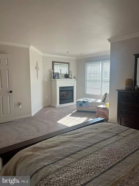 3 Colebrick Ct, Shamong, NJ 08088 photo 22