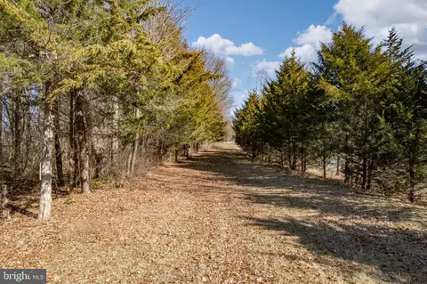 3 Field Ct, Wrightstown, NJ 08562 photo 13