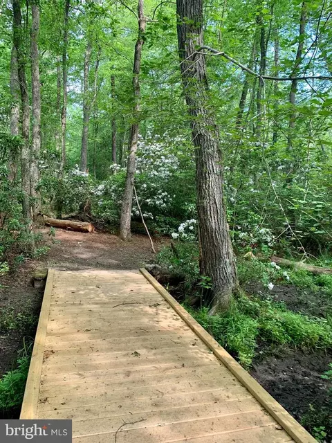 Other - 283 Forked Neck Rd, Shamong, NJ 08088 photo 30 of 32