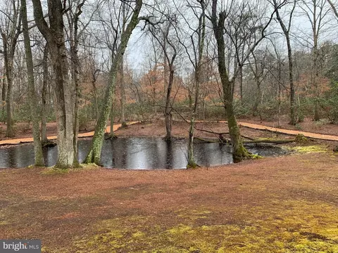 Other - 283 Forked Neck Rd, Shamong, NJ 08088 photo 26 of 32
