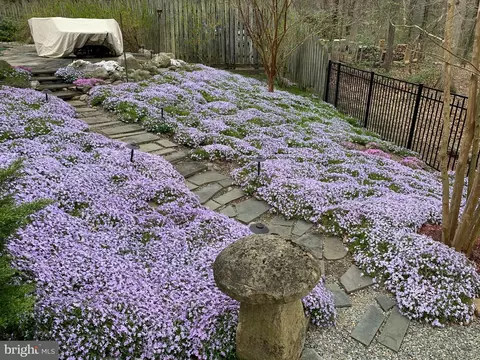 Exterior - 283 Forked Neck Rd, Shamong, NJ 08088 photo 18 of 29