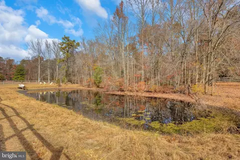 Other - 283 Forked Neck Rd, Shamong, NJ 08088 photo 20 of 32